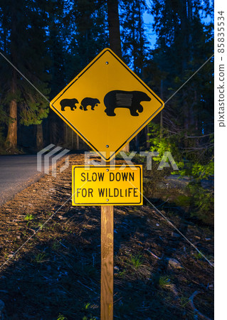 bear sign on the road at night. 85835534