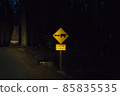 bear sign on the road at night. bear sign on the road at night. 85835535