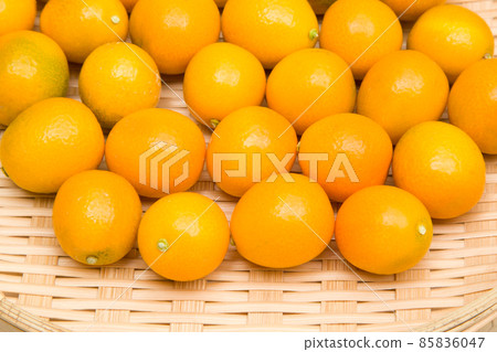 Kinkan Kansei 85836047