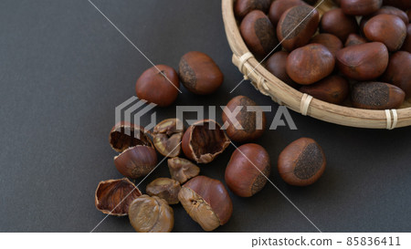 Tianjin Chestnut 85836411