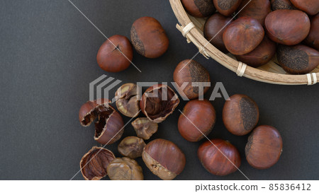 Tianjin Chestnut 85836412