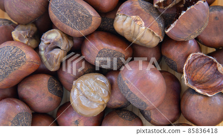 Tianjin Chestnut Tianjin Chestnut 85836418