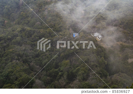 在多雲的森林中建造 85836927