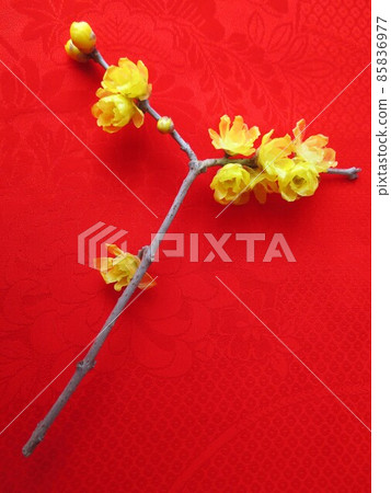 Japanese allspice with a kimono background 85836977