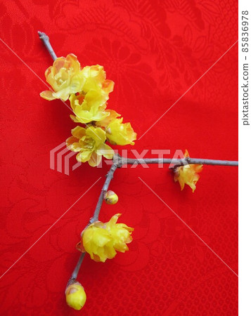 Japanese allspice with a kimono background 85836978