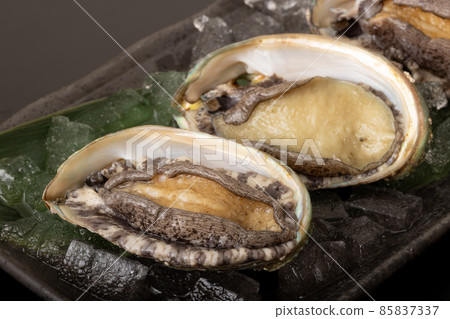 活鮑魚 85837337
