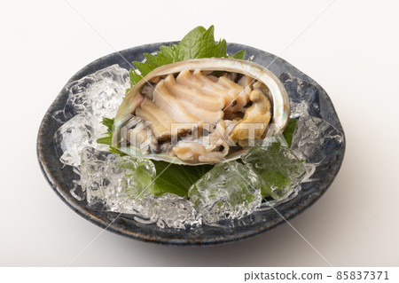 活鮑魚刺身 活鮑魚刺身 85837371