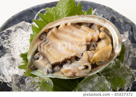 Live abalone sashimi Live abalone sashimi 85837372