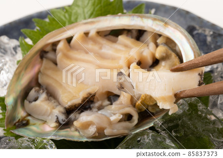 Live abalone sashimi Live abalone sashimi 85837373