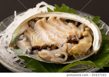 Live abalone sashimi Live abalone sashimi 85837383