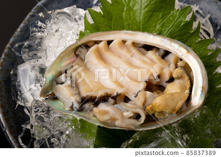 Live abalone sashimi 85837389