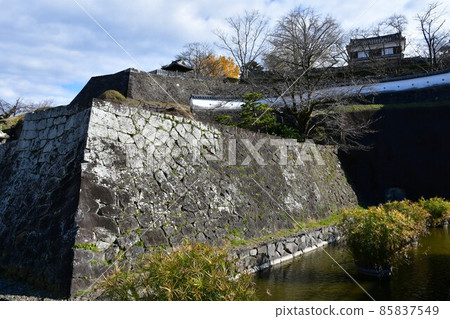 秋天的臼杵城跡 85837549