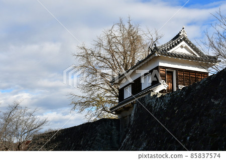 秋天的臼杵城跡 秋天的臼杵城跡 85837574