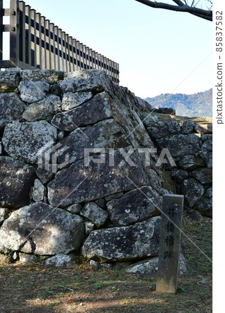 秋天的臼杵城跡 85837582