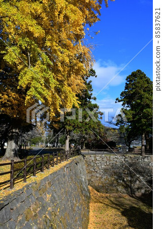 秋天的臼杵城跡 85837621
