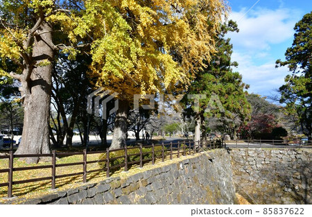 秋天的臼杵城跡 85837622