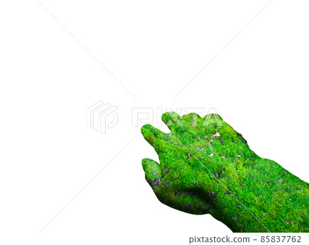Mossy hands Mossy hands 85837762