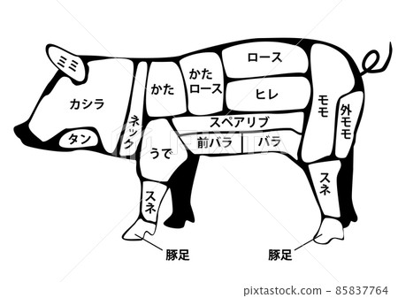 豬肉部分 豬肉部分 85837764