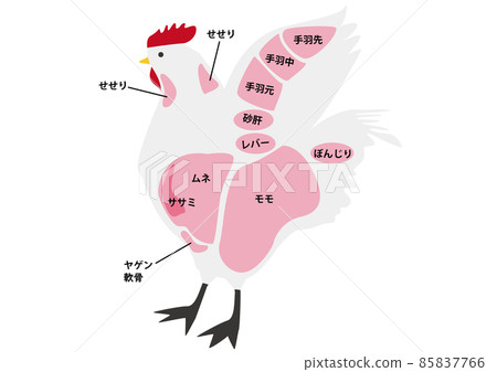 雞肉部分 雞肉部分 85837766
