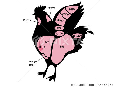 雞肉部分 雞肉部分 85837768