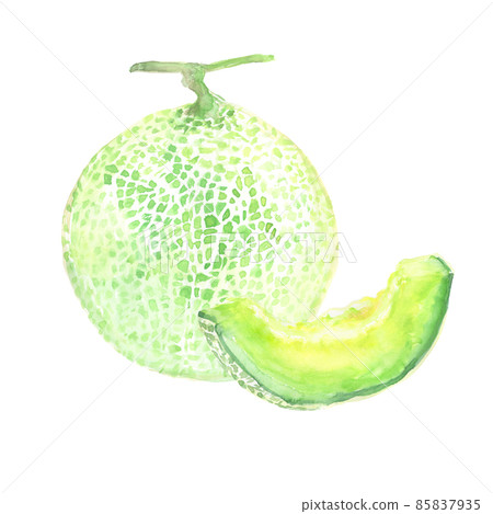 用水彩畫的瓜的插圖 85837935