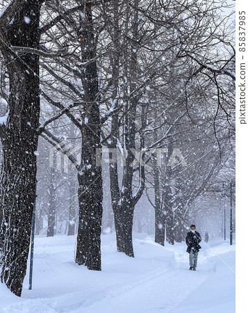 暴風雪中的北海道 85837985