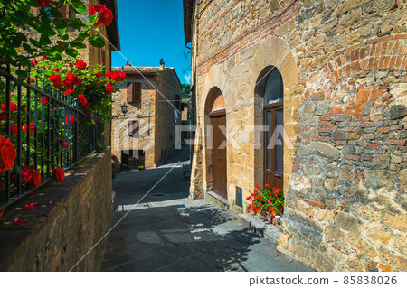 Old stone houses and garden with roses in Tuscany, Italy Old stone houses and garden with roses in Tuscany, Italy 85838026