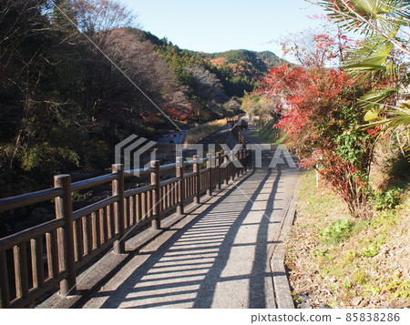 Sunny walking path 85838286