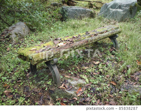 Kokemusu長凳 85838287