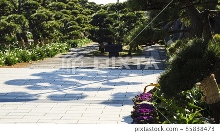湘南三浦半島神奈川縣三浦市城鹿島的冬天 湘南三浦半島神奈川縣三浦市城鹿島的冬天 85838473