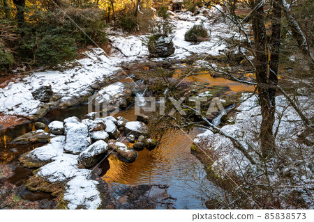 Frigid scenery with snow in the Kikuchi Gorge in the early morning when it snows Frigid scenery with snow in the Kikuchi Gorge in the early morning when it snows 85838573