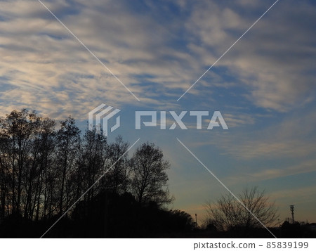 晚上景觀在冬天 85839199