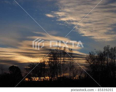 晚上景觀在冬天 85839201