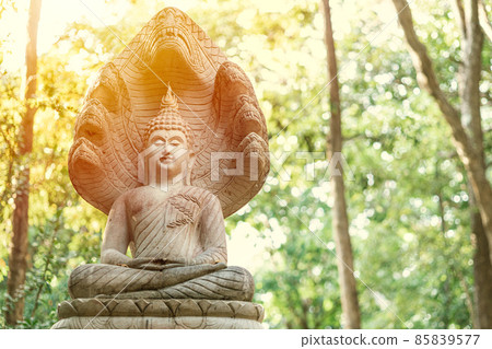 buddha protected with naka stone statue in the forest 85839577