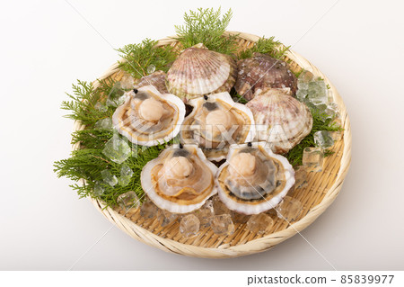 Scallops with shell Scallops with shell 85839977