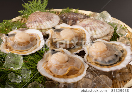 Scallops with shell Scallops with shell 85839988