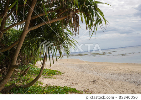 Clean sea and sandy beach with high transparency in Okinawa Prefecture Clean sea and sandy beach with high transparency in Okinawa Prefecture 85840050