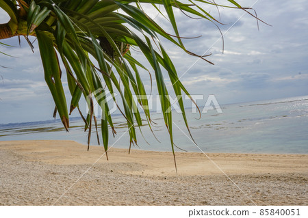 Clean sea and sandy beach with high transparency in Okinawa Prefecture 85840051