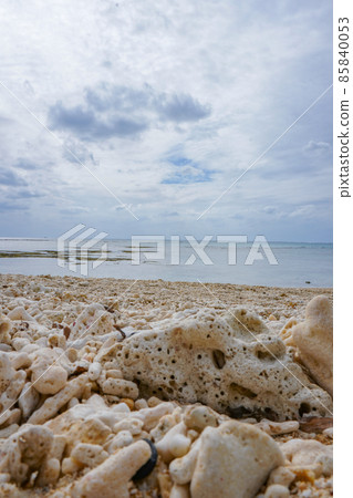 沖繩縣清澈的海水和高透明度的沙灘 85840053