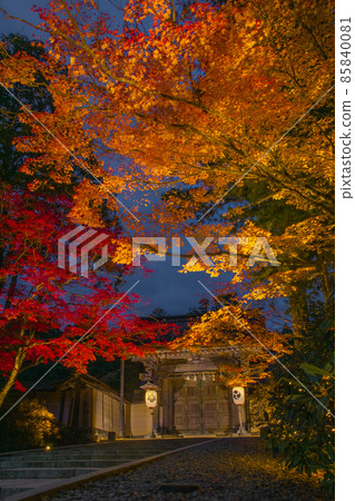 和歌山縣伊東郡高野山金剛峰寺紅葉燈火輝煌的高野町 85840081