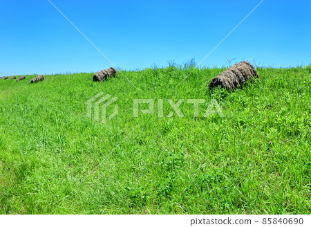 Grassland and grass roll 85840690