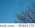 在寒冷的天空和樹枝上捉住的風箏 85841176