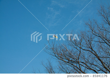 在寒冷的天空和樹枝上捉住的風箏 在寒冷的天空和樹枝上捉住的風箏 85841176