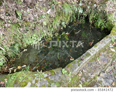 Miyamori Castle Gozen Shimizu (Nihonmatsu City, Fukushima Prefecture) 85841472