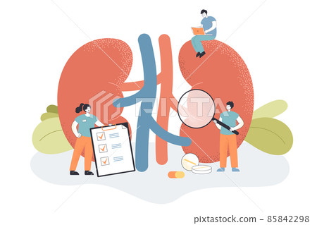 Doctors check health of kidneys and urinary system in clinic 85842298