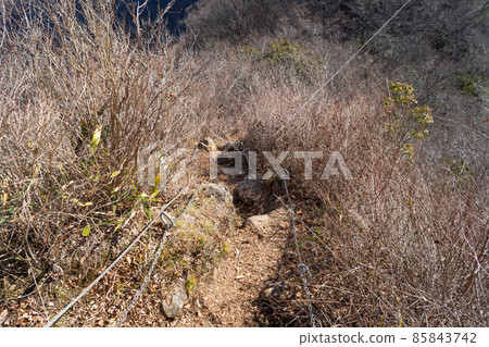 Kusari field near the summit of Mt. Bukkasan (Higashi Tanzawa) 85843742