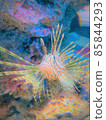Underwater paradise 85844293