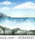 海岸的海灘 85844695