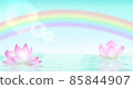漂浮在水面上的荷葉和彩虹 85844907