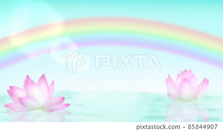 Lotus leaves and rainbow floating on the surface of the water 85844907